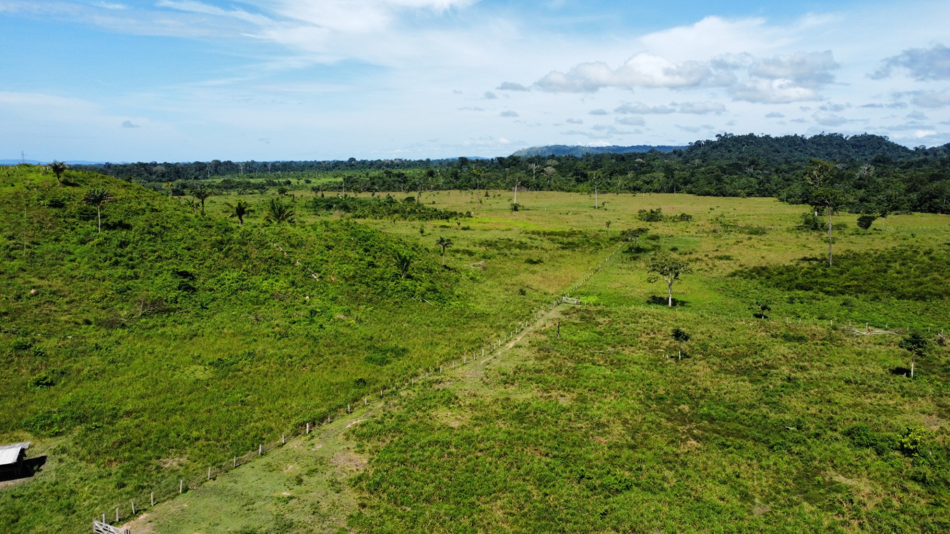 Foto do imóvel: Fazenda à Venda, 900 Alq MGem Centro  - São Félix do Xingu