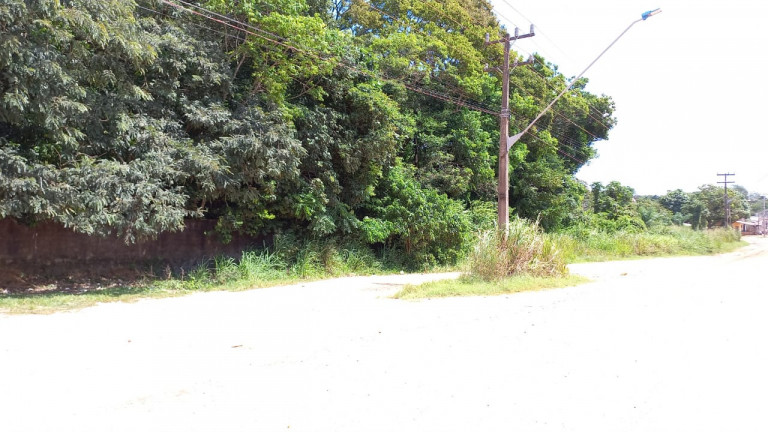Imagem Terreno à Venda, 10.000 m² em Santíssimo - Santarém