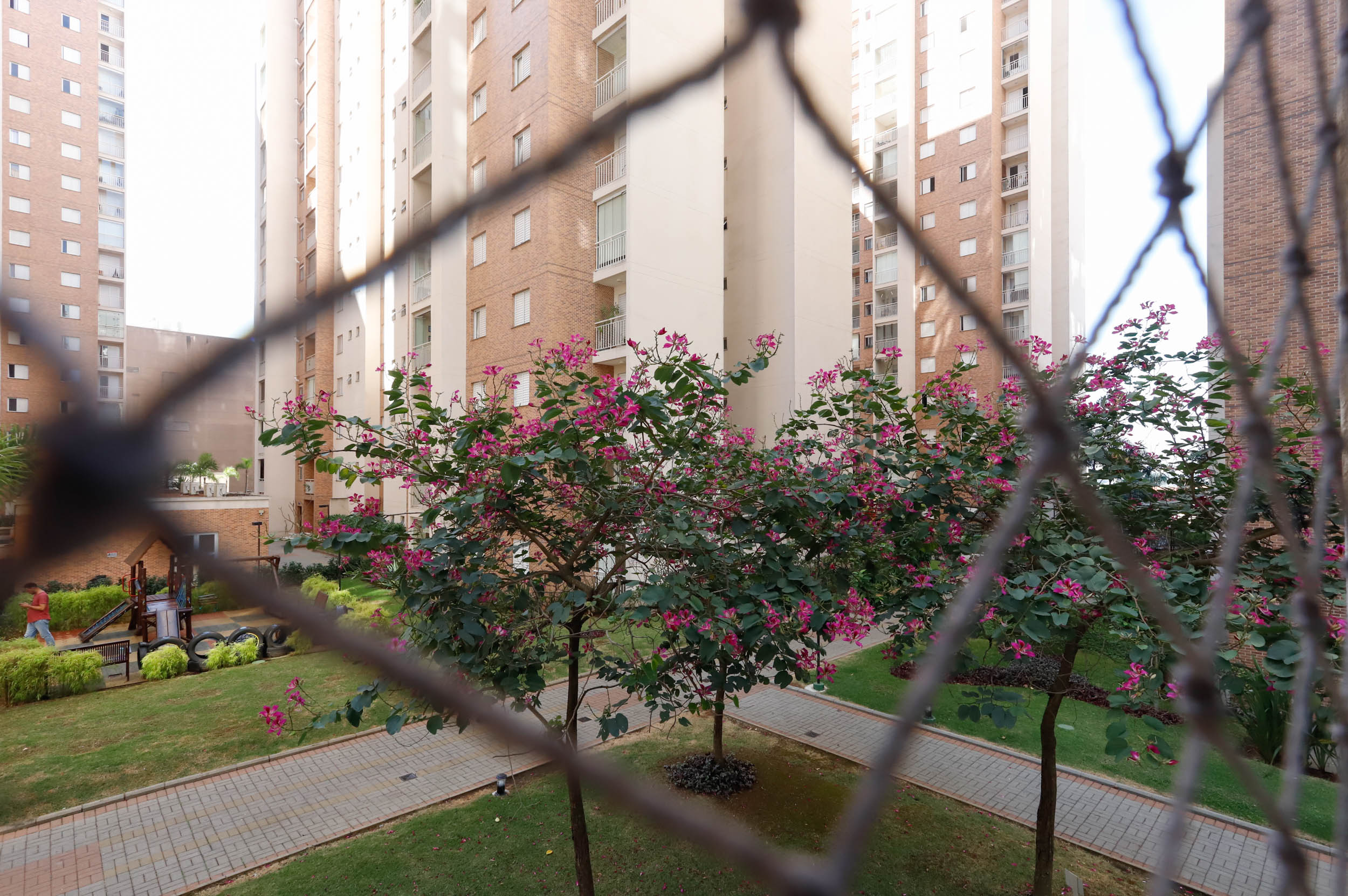 Foto do imóvel: Apartamento com 3 Quartos à Venda, 77 m²em Jardim Flor da Montanha - Guarulhos