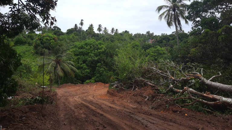 Imagem Terreno à Venda, 300 m²em Barra do Jacuípe - Camaçari