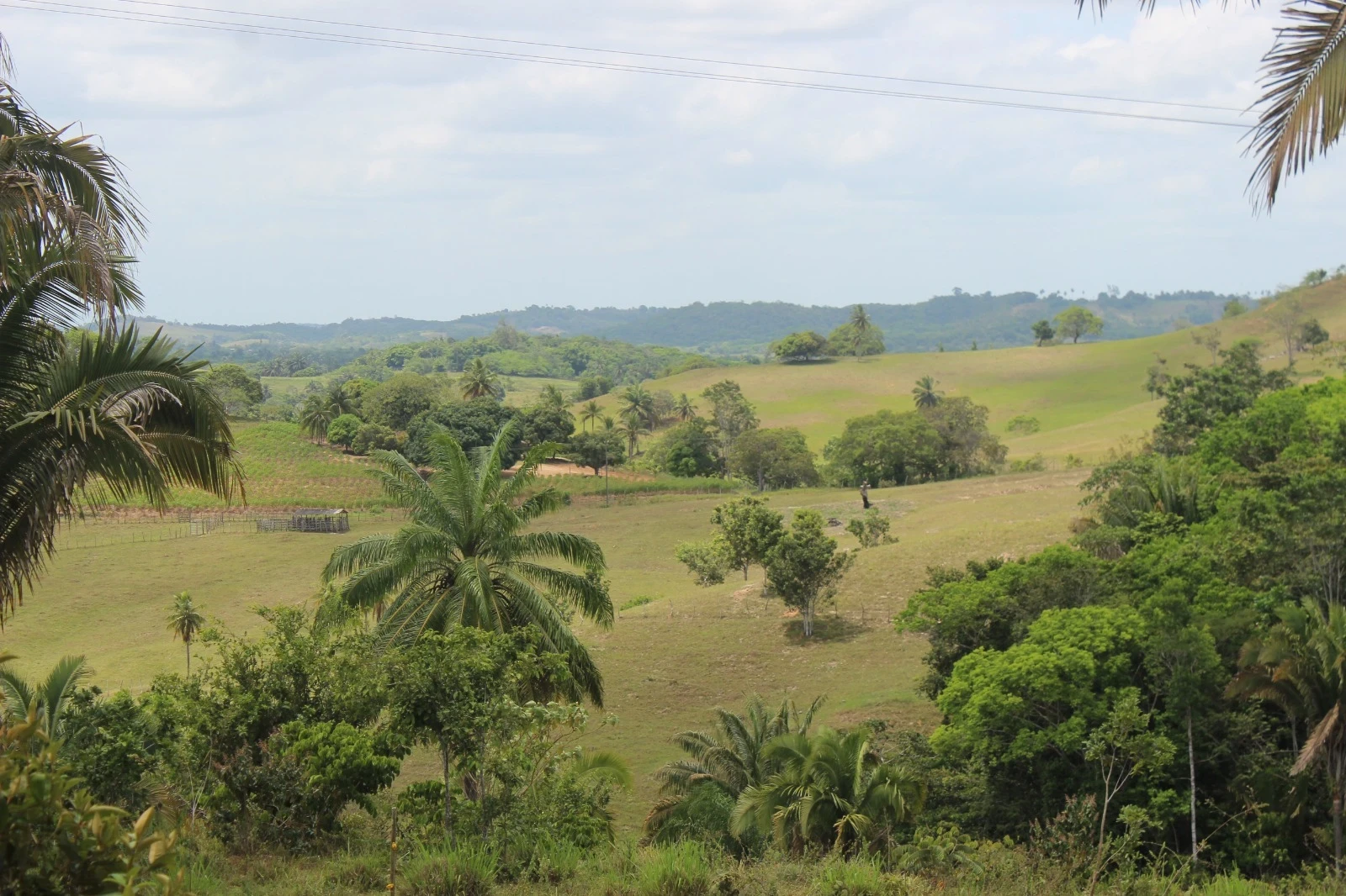Foto do imóvel: Chácara com 2 Quartos à Venda, 20100 m² em Mata de São João - Mata de São João