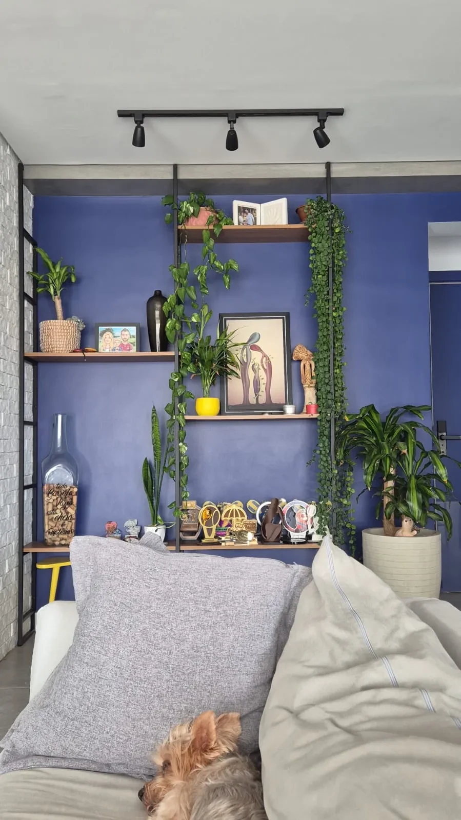 Imagem Apartamento com 2 Quartos à Venda, 95 metros em Quarta Parada - São Paulo