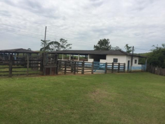 Imagem Fazenda à Venda, 20.000 m² em Vila Pontilhão - Cruzeiro