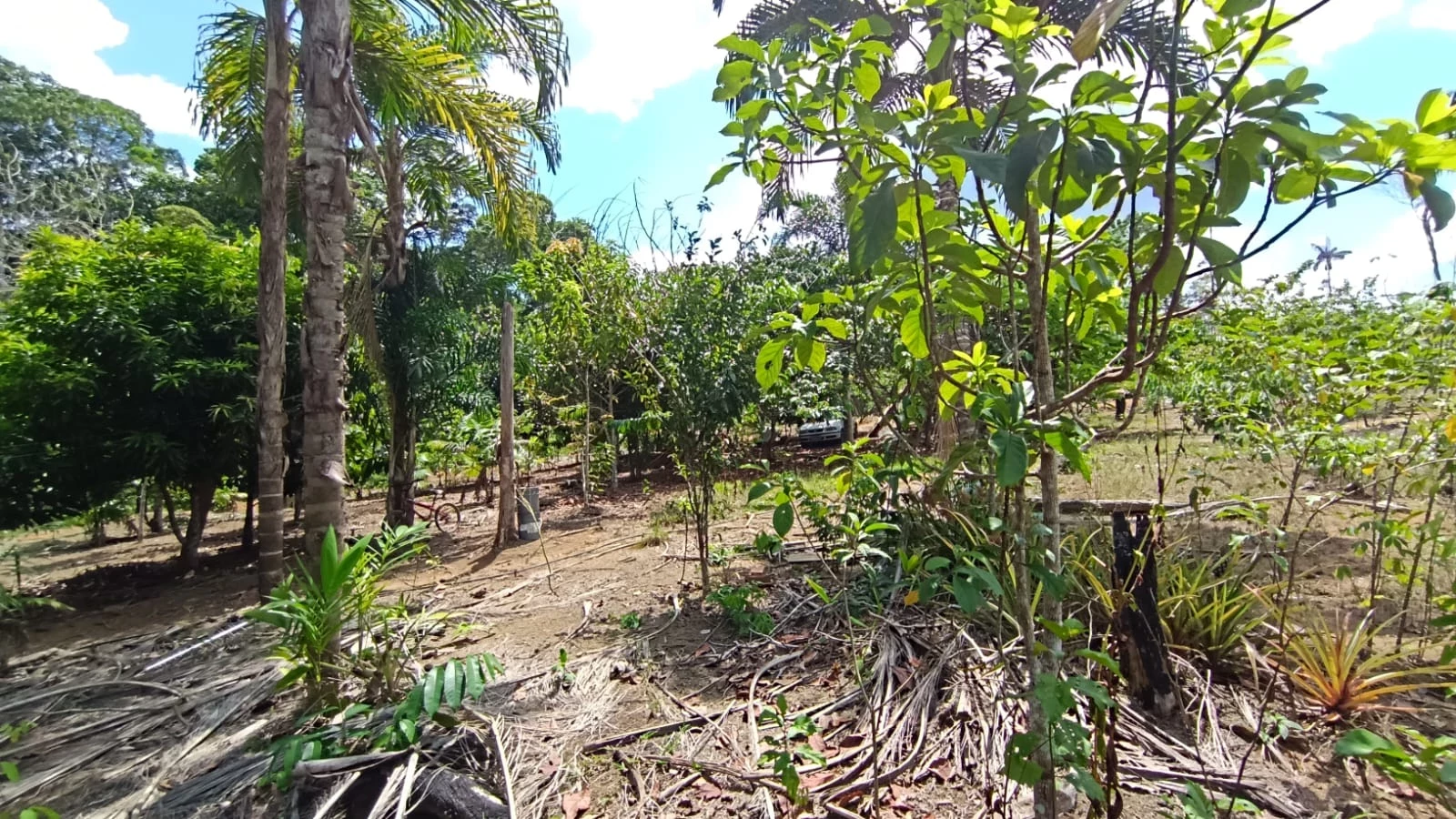 Imagem Chácara com 1 Quarto à Venda, 16.000 m² em Área Rural de Itacoatiara - Itacoatiara