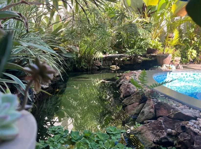 Foto do imóvel: Sobrado com 4 Quartos à Venda, 28.500 m² em Jardim São Marcos - Valinhos