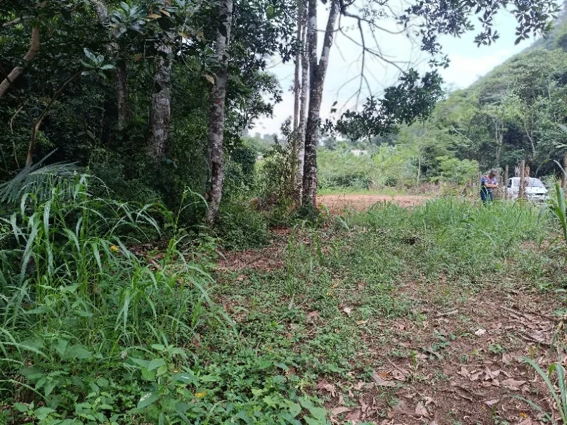 Imagem Chácara à Venda, 20000 metros em Santa Leopoldina - Santa Leopoldina
