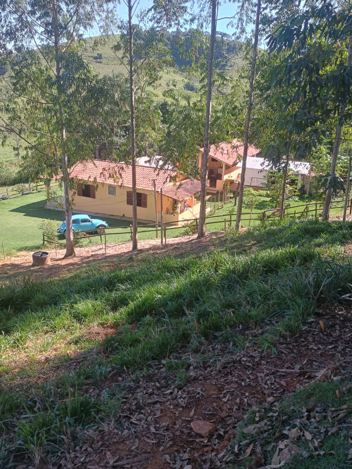 Chácara com 2 Quartos à Venda, 72.000 m² em  - Rio Pomba