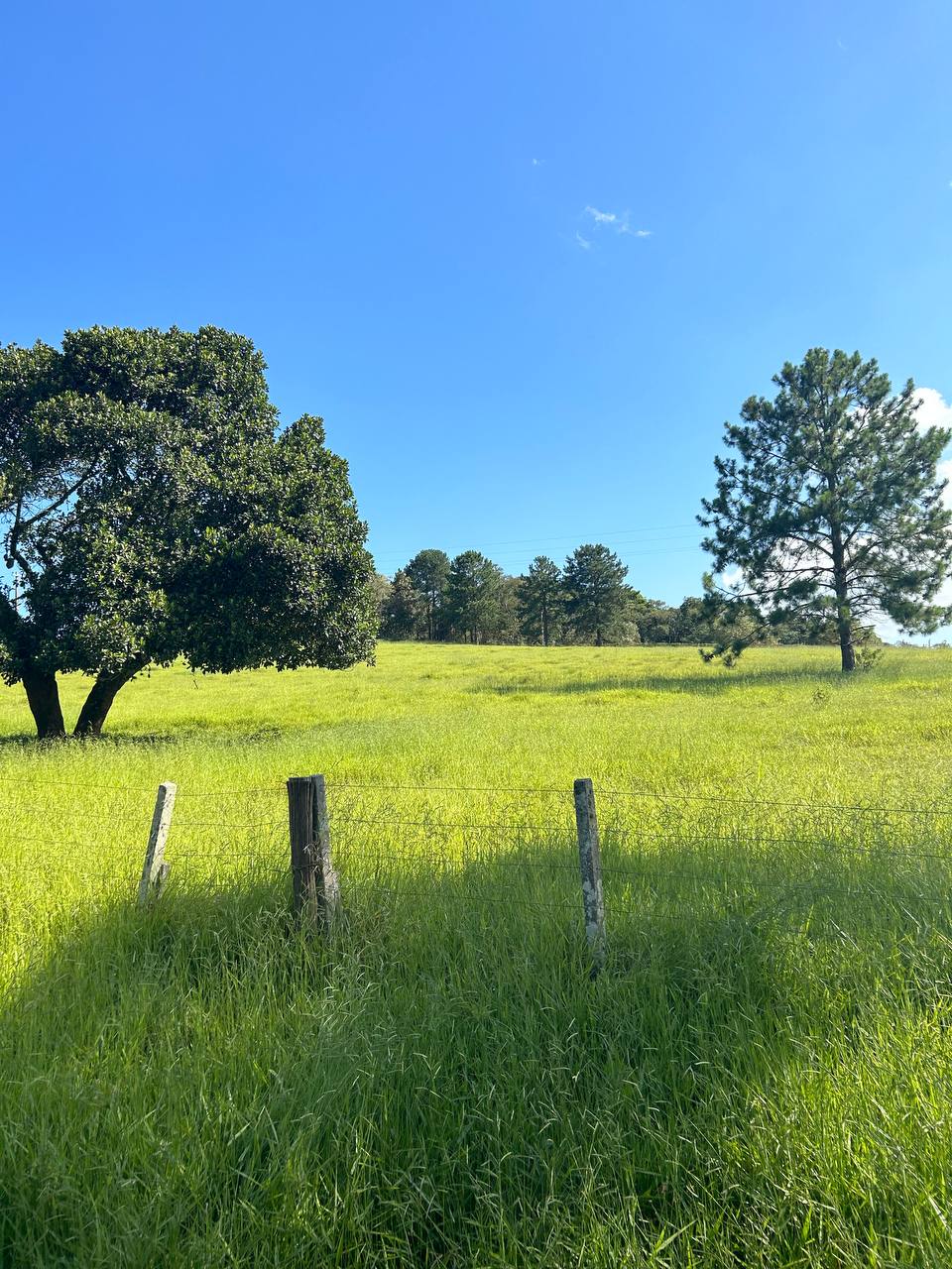 Imagem Terreno em Condomínio à Venda ou Locação, 500 m²em recreio verava - Ibiúna