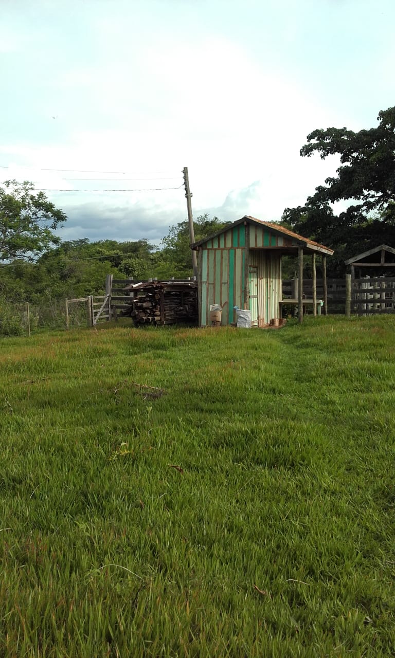 Fazenda à Venda, 74 Alq. SP em Área Rural de Álvaro de Carvalho - Álvaro de Carvalho