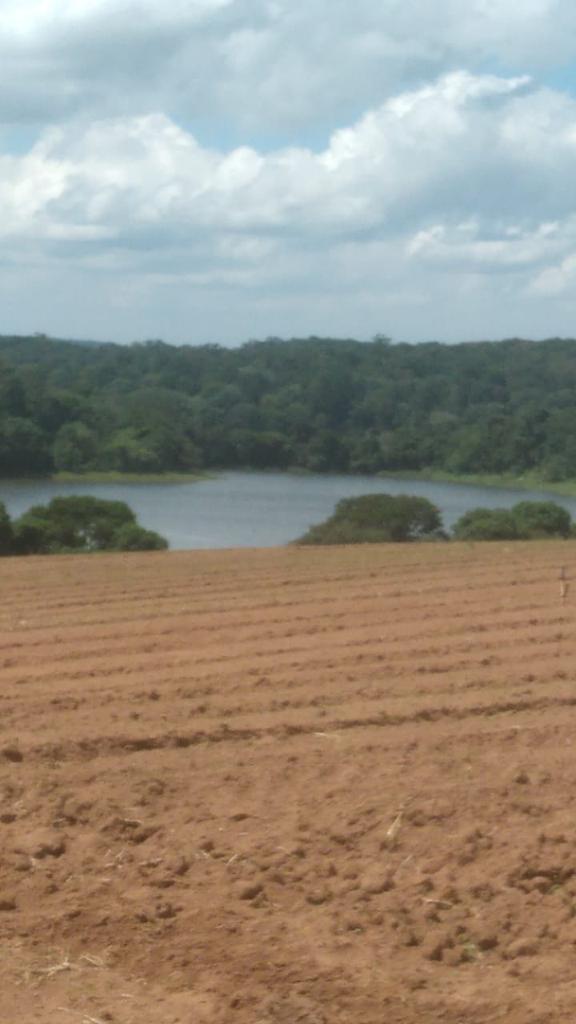 Foto do imóvel: Fazenda à Venda, 6 Alq. SP em Valadão - Piedade