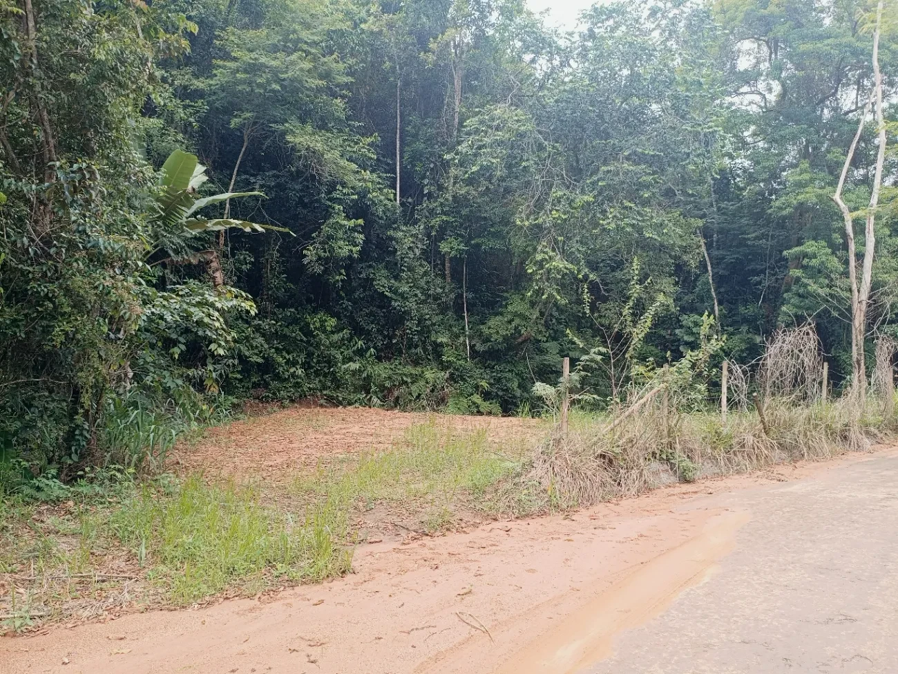 Imagem Chácara à Venda, 20000 metros em Santa Leopoldina - Santa Leopoldina