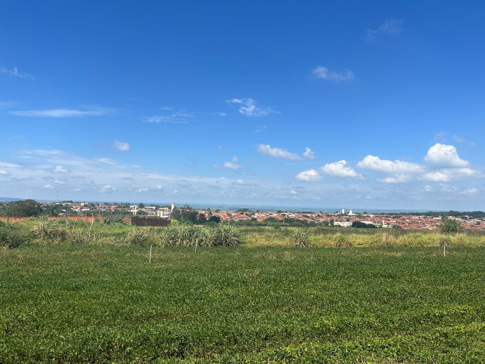 Imagem Terreno à Venda, 250 m² em Monte Carmelo - Cravinhos