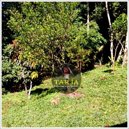 Imagem Chácara com 2 Quartos à Venda, 200 m² em Mata Fria - Mairiporã