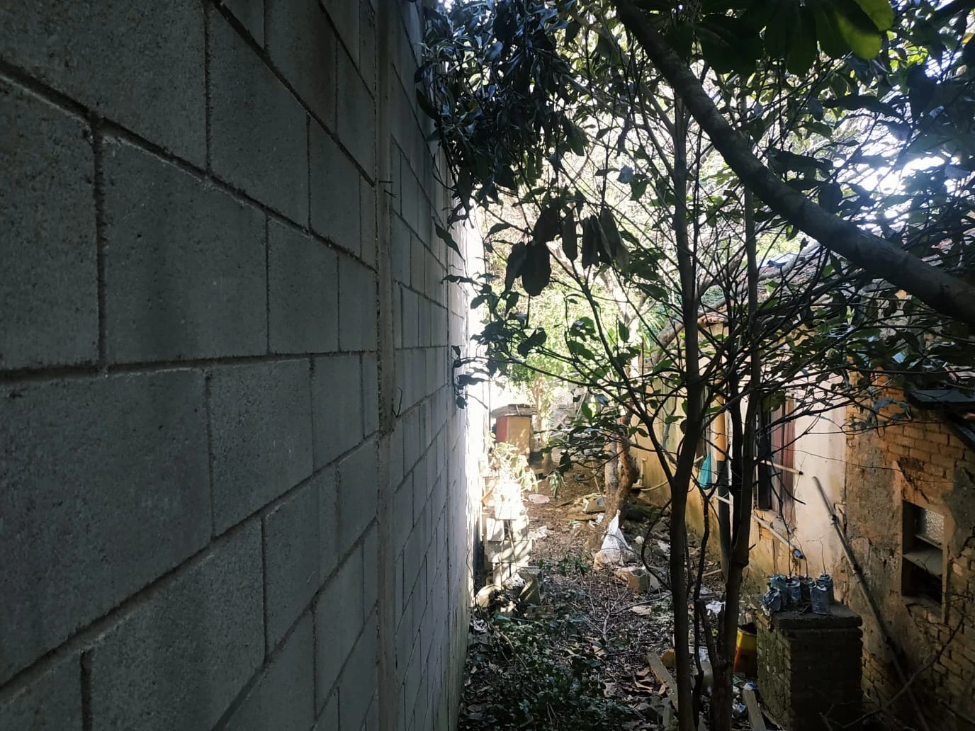 Imagem Terreno à Venda, 211 m² em Vila Matilde - São Paulo