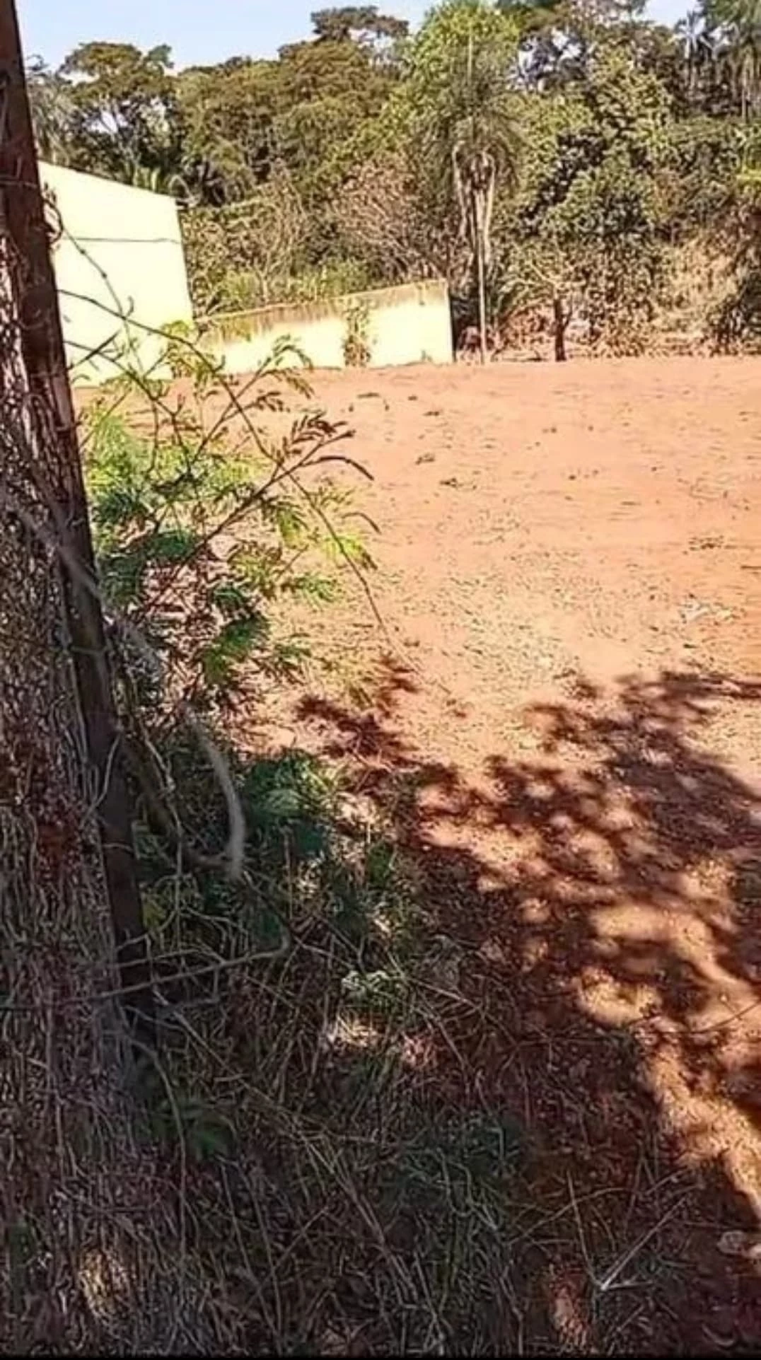 Imagem Terreno à Venda, 514 m² em Villasul - Aparecida de Goiânia