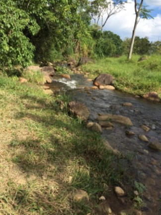 Imagem Fazenda à Venda, 20.000 m² em Vila Pontilhão - Cruzeiro