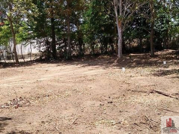 Imagem Terreno à Venda, 50.000 m² em Aldeia dos Camarás - Camaragibe