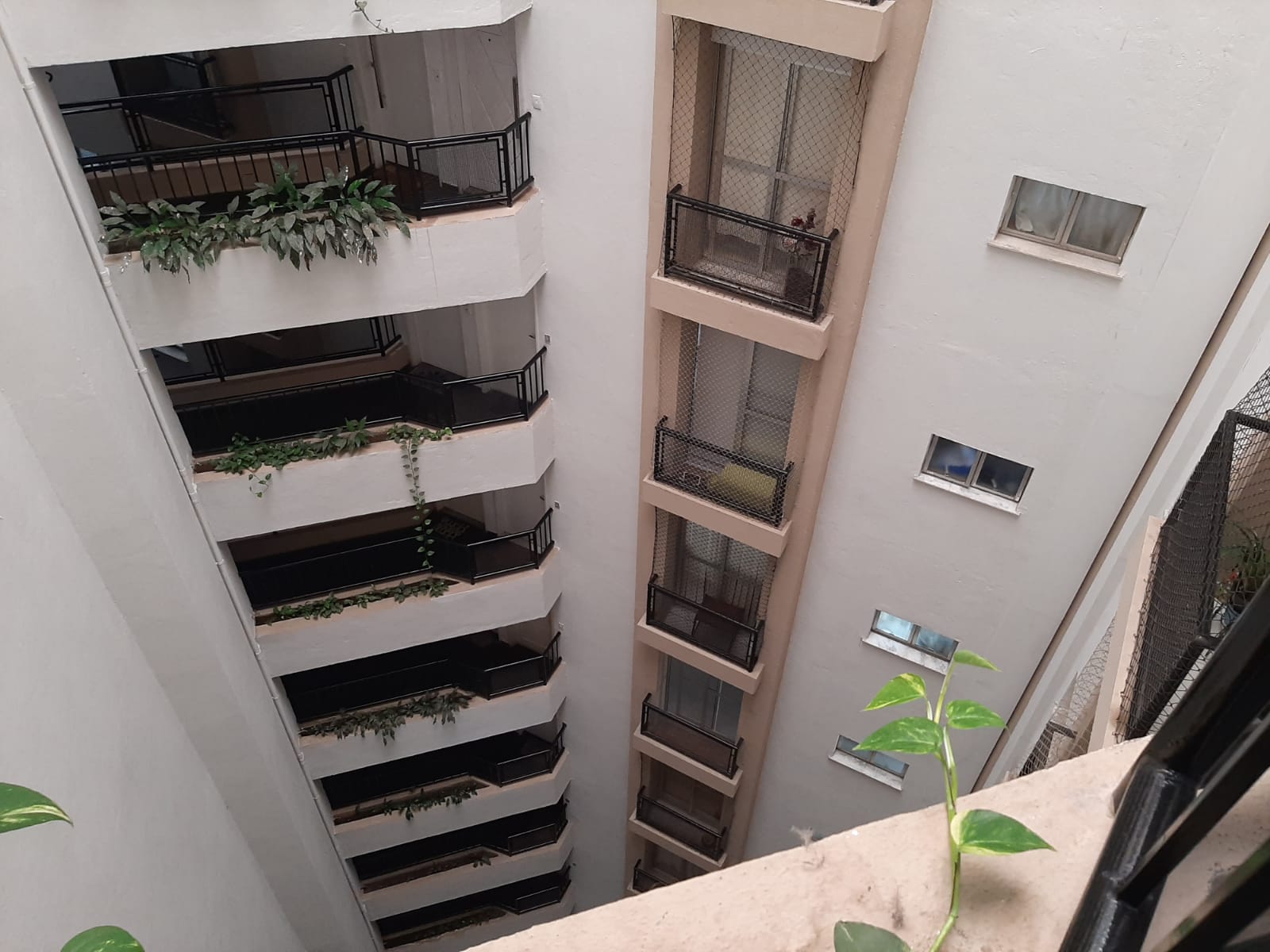 Imagem Apartamento com 2 Quartos à Venda, 62 m²em Lauzane Paulista - São Paulo