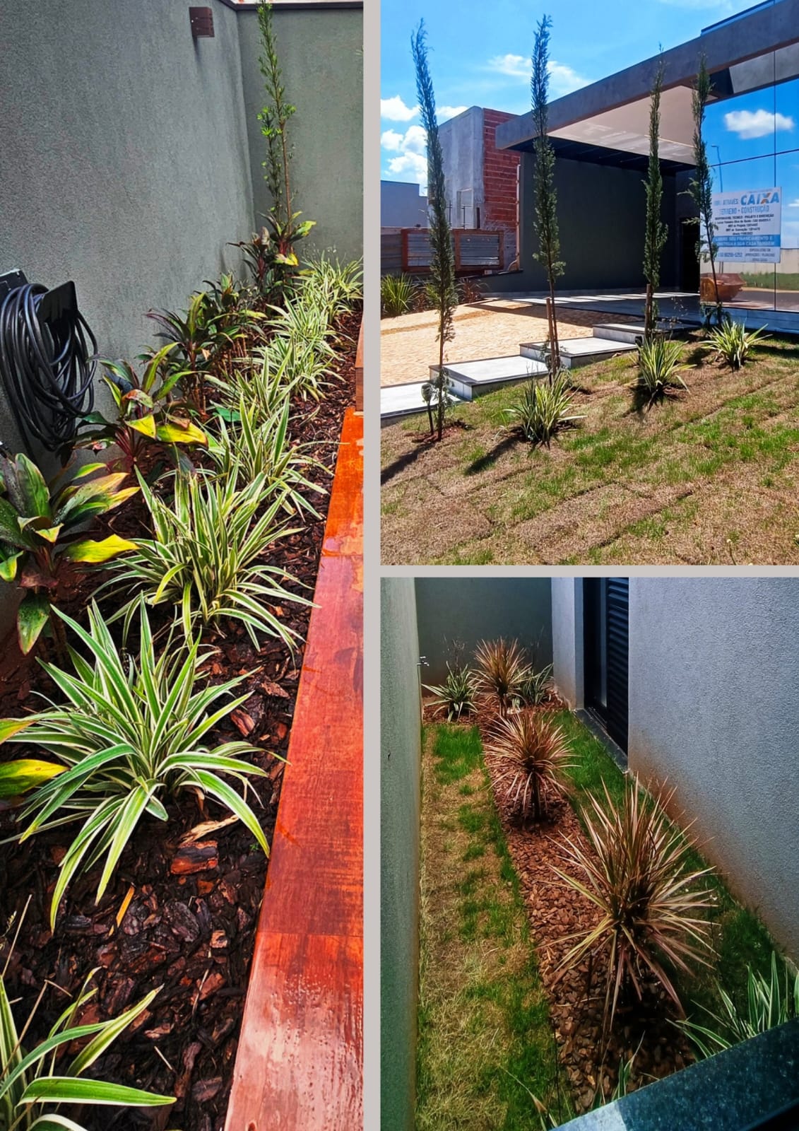 Imagem Casa com 3 Quartos à Venda, 169 m² em Portal da Mata - Ribeirão Preto