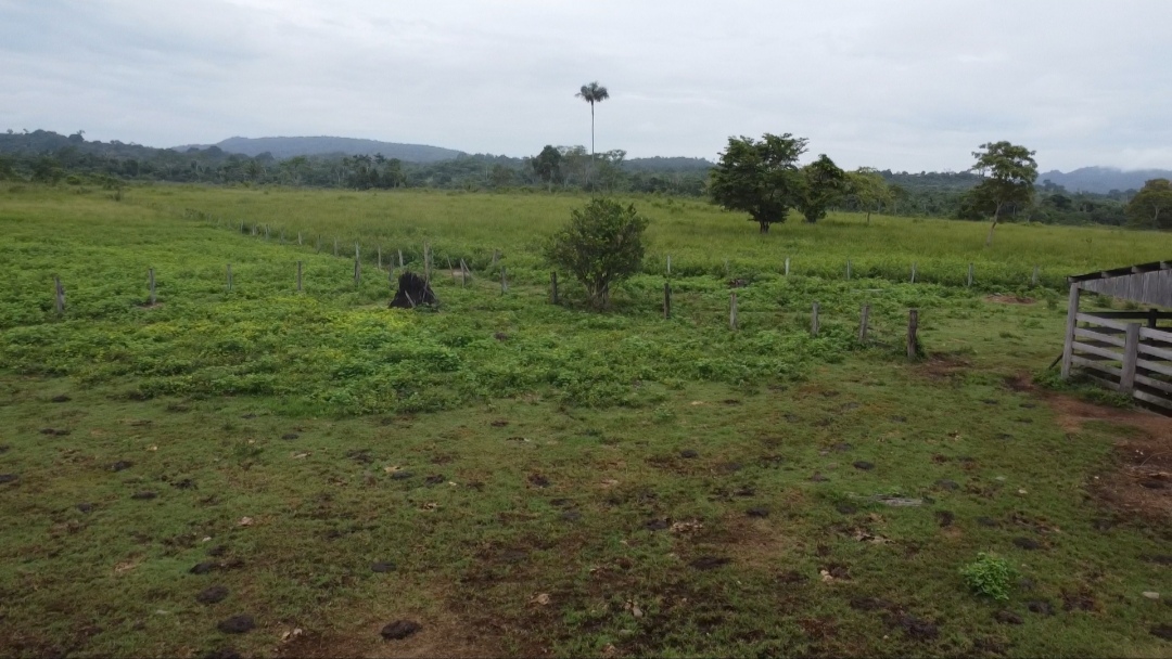 Foto do imóvel: Fazenda à Venda, 90 m²em Centro - São Félix do Xingu