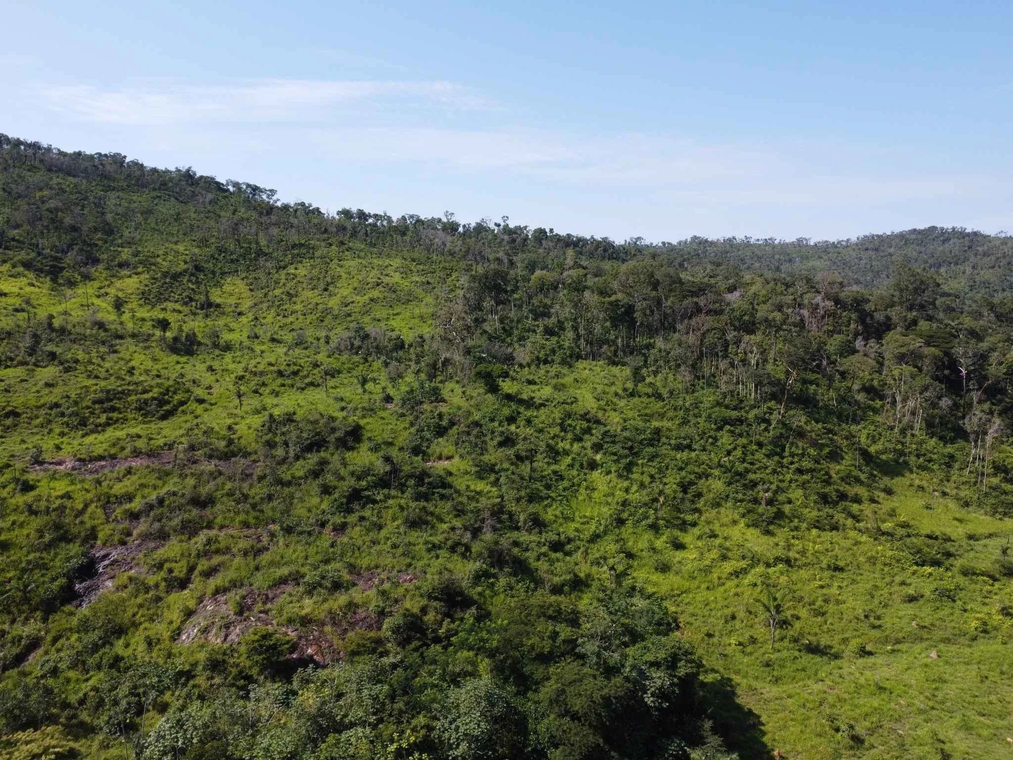 Foto do imóvel: Fazenda à Venda, 90 Alq. GO em São Félix do Xingu - São Félix do Xingu