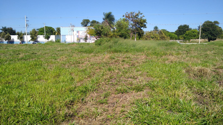 Imagem Terreno à Venda, 5.000 m² em Chácaras TV - Araçatuba