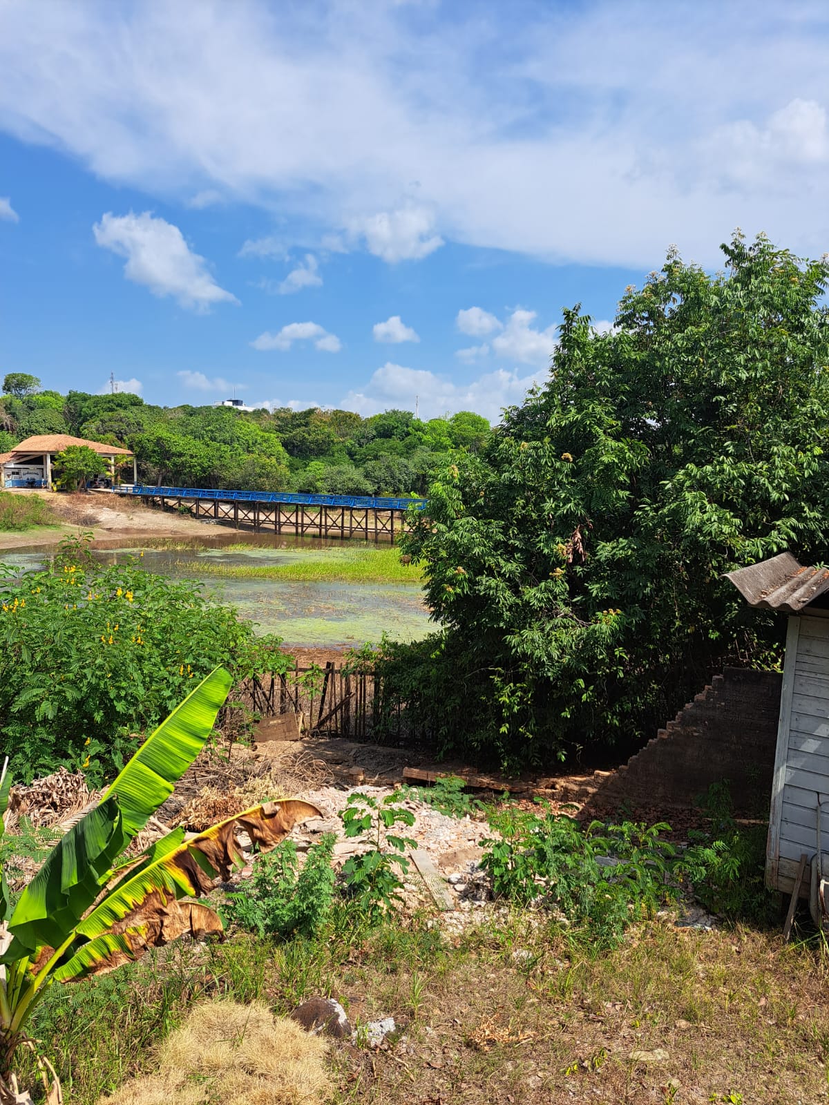 Imagem Terreno à Venda, 1 m²em Alter do Chão - Santarém