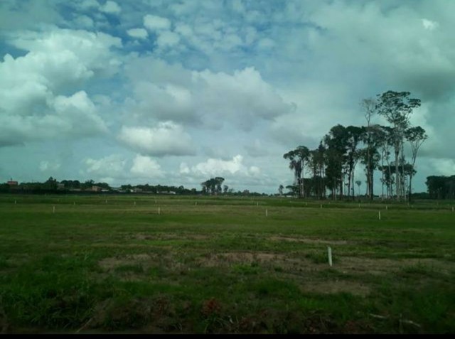 Imagem Terreno à Venda, 160 m²em Campina de Icoaraci (Icoaraci) - Belém