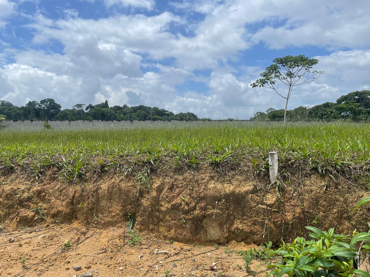 Imagem Terreno em Condomínio à Venda, 900 m² em Paudalho - Paudalho