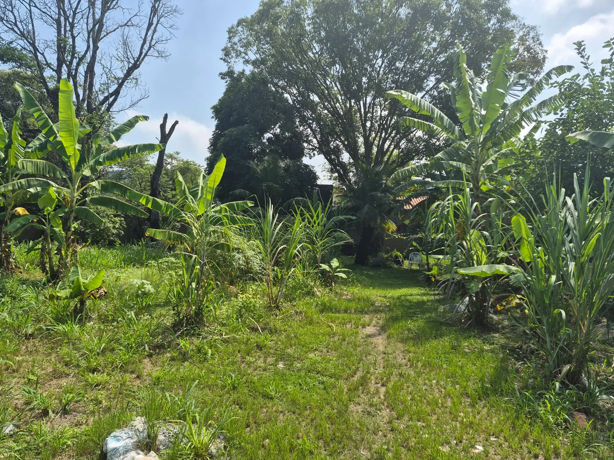 Foto do imóvel: Terreno à Venda, 180 metros em Maravista - Niterói