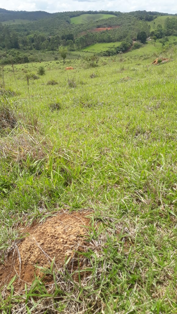Imagem Fazenda à Venda, 414 HAem Centro - Barbacena