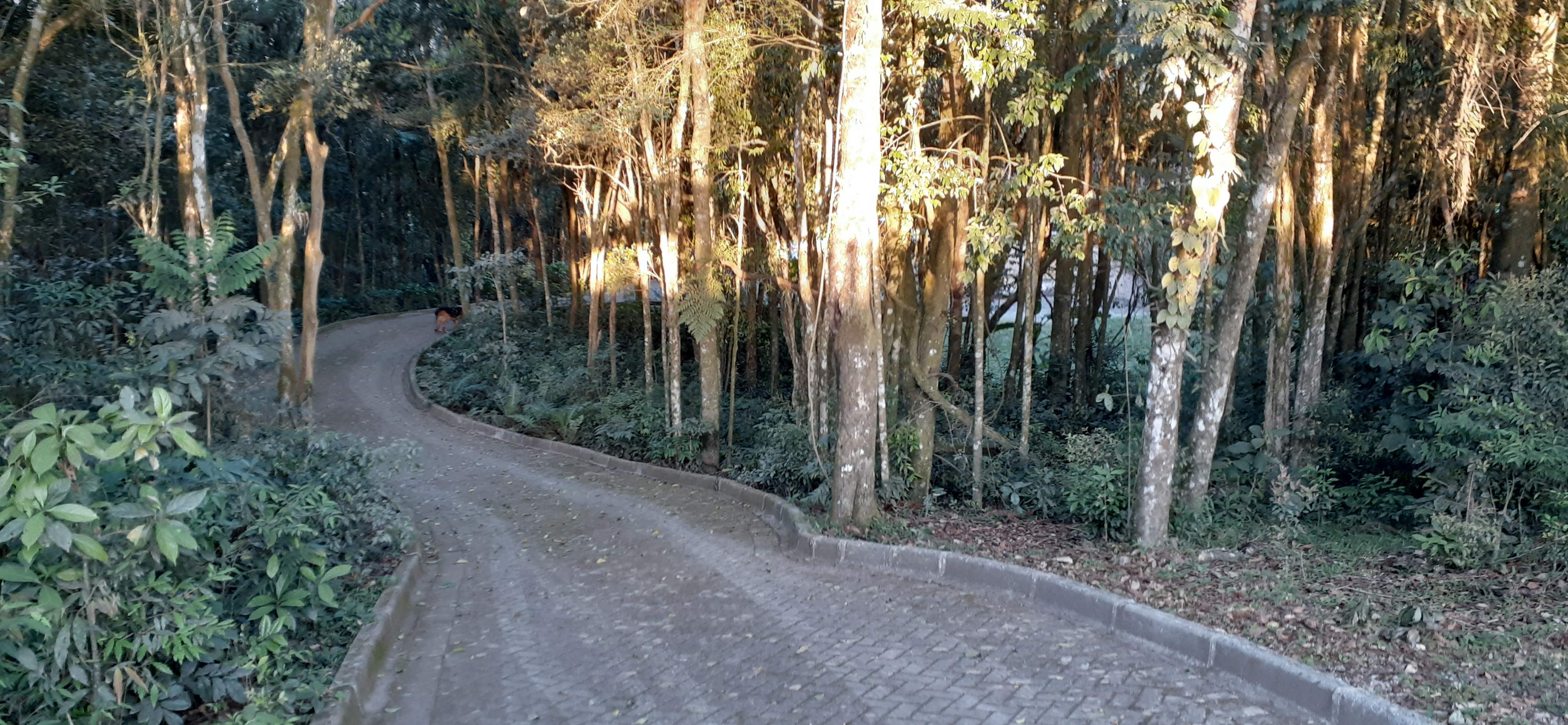 Imagem Chácara com 3 Quartos à Venda, 135 m²em Vila Franca - Piraquara