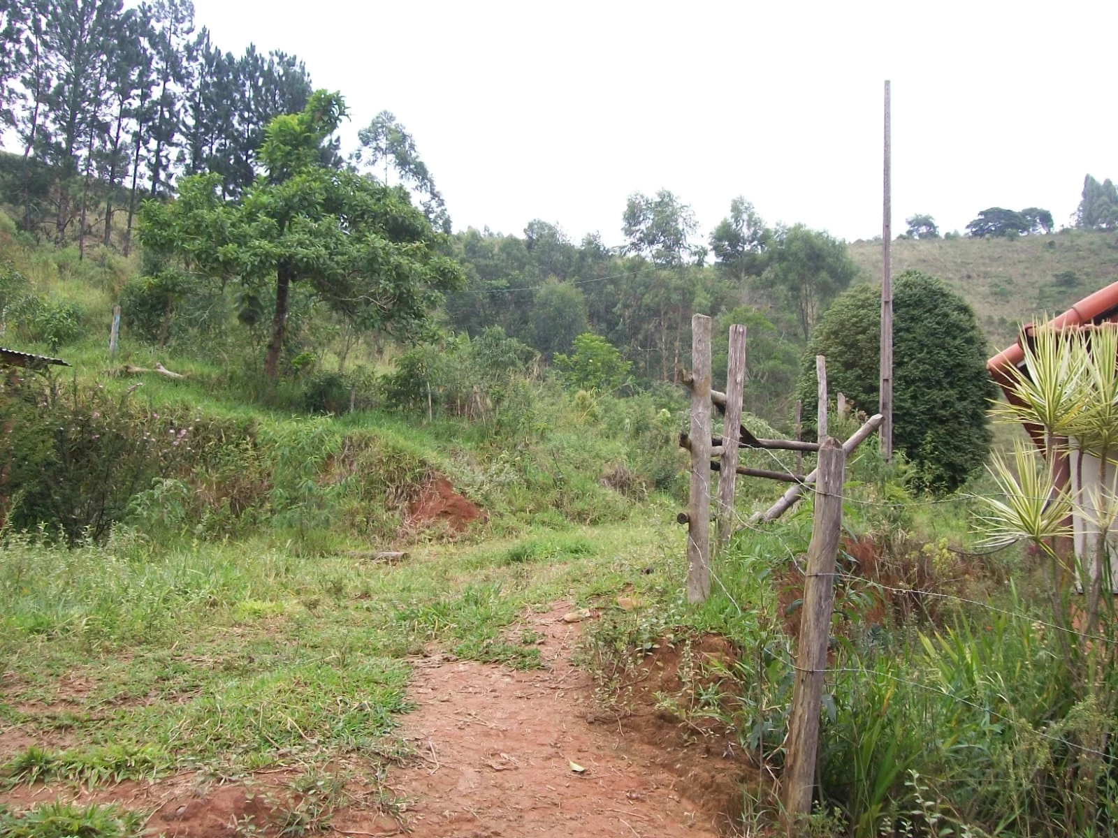 Imagem Chácara com 2 Quartos à Venda, 47.000 m² em Pirapitinga - Juiz de Fora