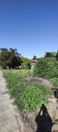 Imagem Terreno à Venda, 365 m² em Milanese - Criciúma