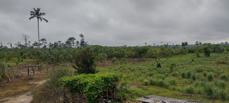 Imagem Terreno à Venda, 2.000 m² em Zona Rural - Humaitá