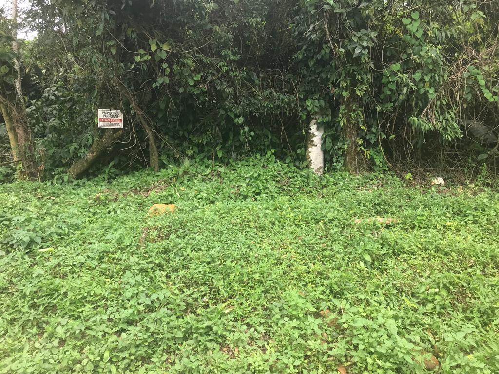 Imagem Terreno à Venda, 2 m²em Taquaral - Ubatuba