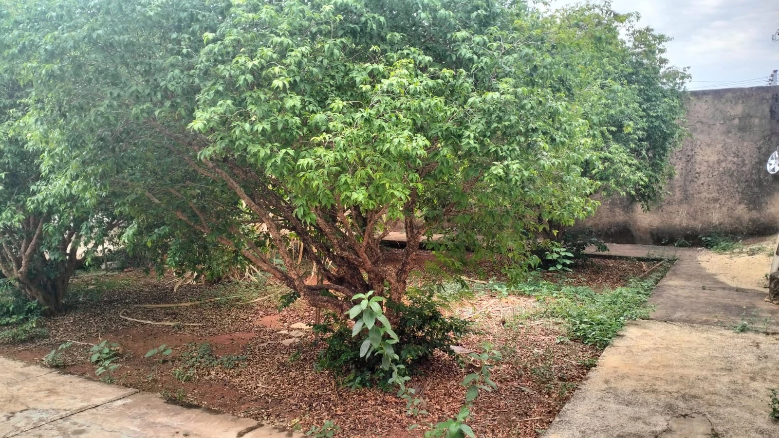 Foto do imóvel: Casa com 4 Quartos à Venda, 220 m² em Vila Maria - Aparecida de Goiânia