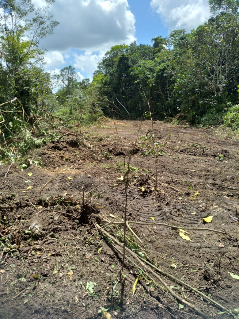 Imagem Terreno à Venda, 80000 m² em Decouville - Marituba