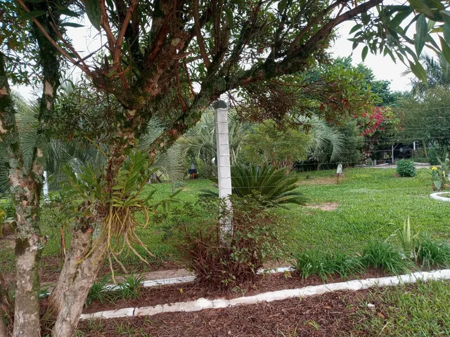 Imagem Chácara com 3 Quartos à Venda, 125 m²em Conceição - São Sebastião do Caí
