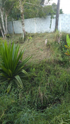 Imagem Chácara com 2 Quartos à Venda, 1.404 m² em Estrada Municipal Casqueiro - Biritiba-Mirim