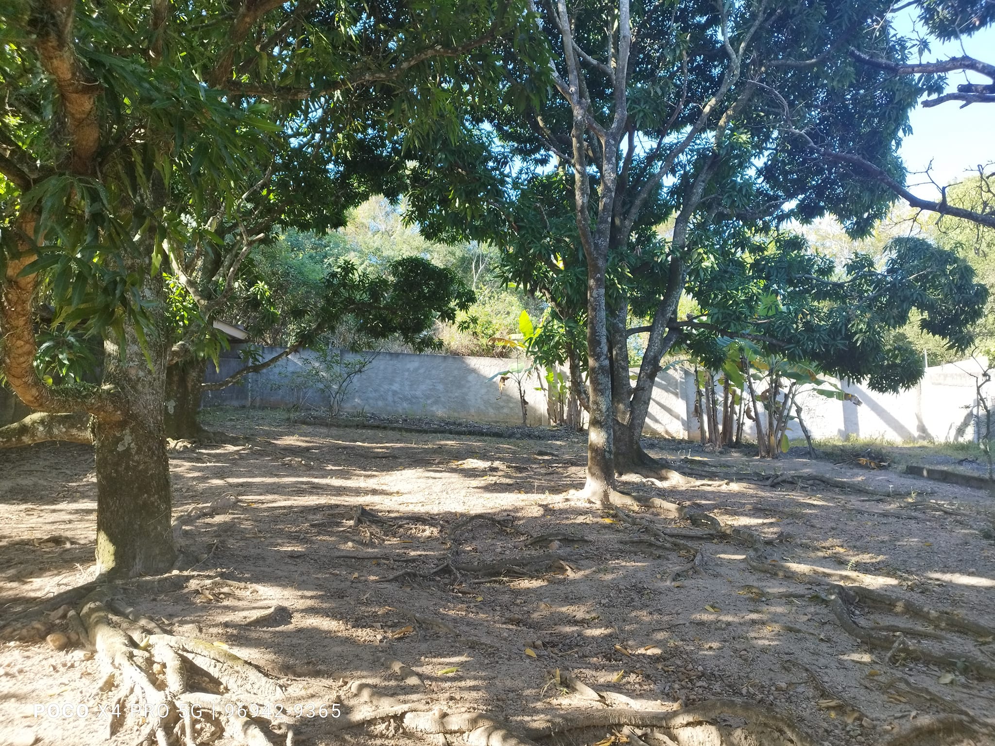 Imagem Imóvel com 4 Quartos à Venda, 4 m²em Guaratiba - Rio de Janeiro