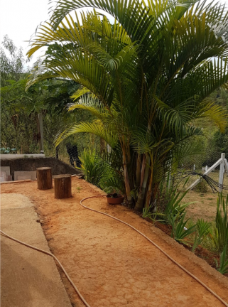 Imagem Chácara com 1 Quarto à Venda, 840 m² em Bocaina - Cachoeira Paulista