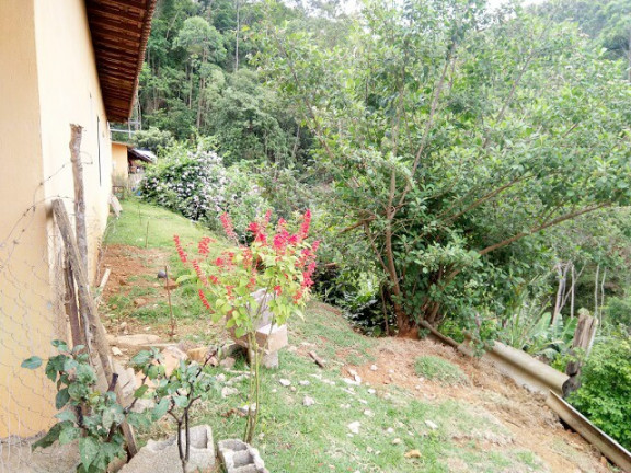 Imagem Chácara com 3 Quartos à Venda, 3 m² em Jardim Zaira - Mauá