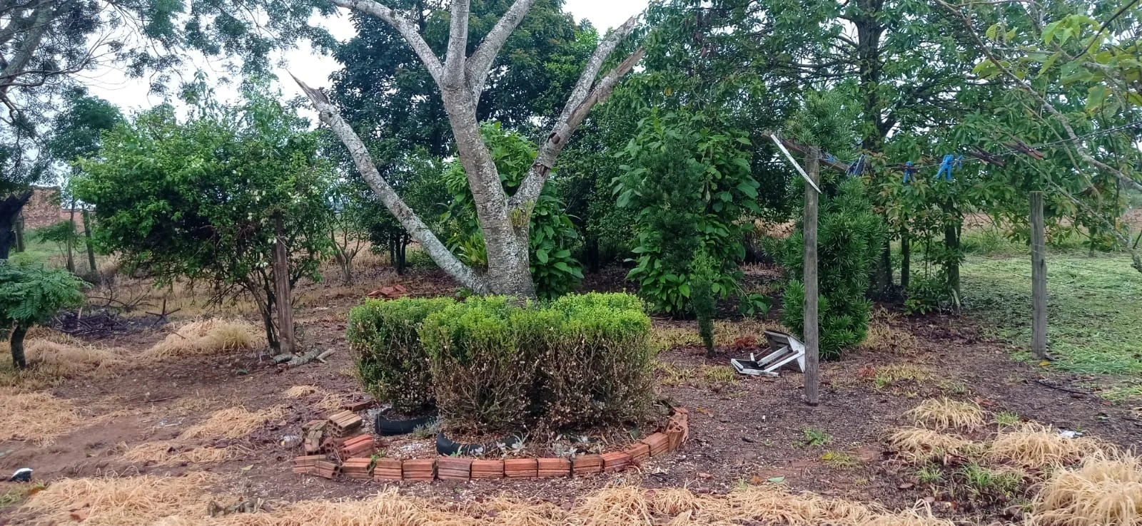 Foto do imóvel: Terreno à Venda, 1530 m² em Área Rural de Araranguá - Araranguá
