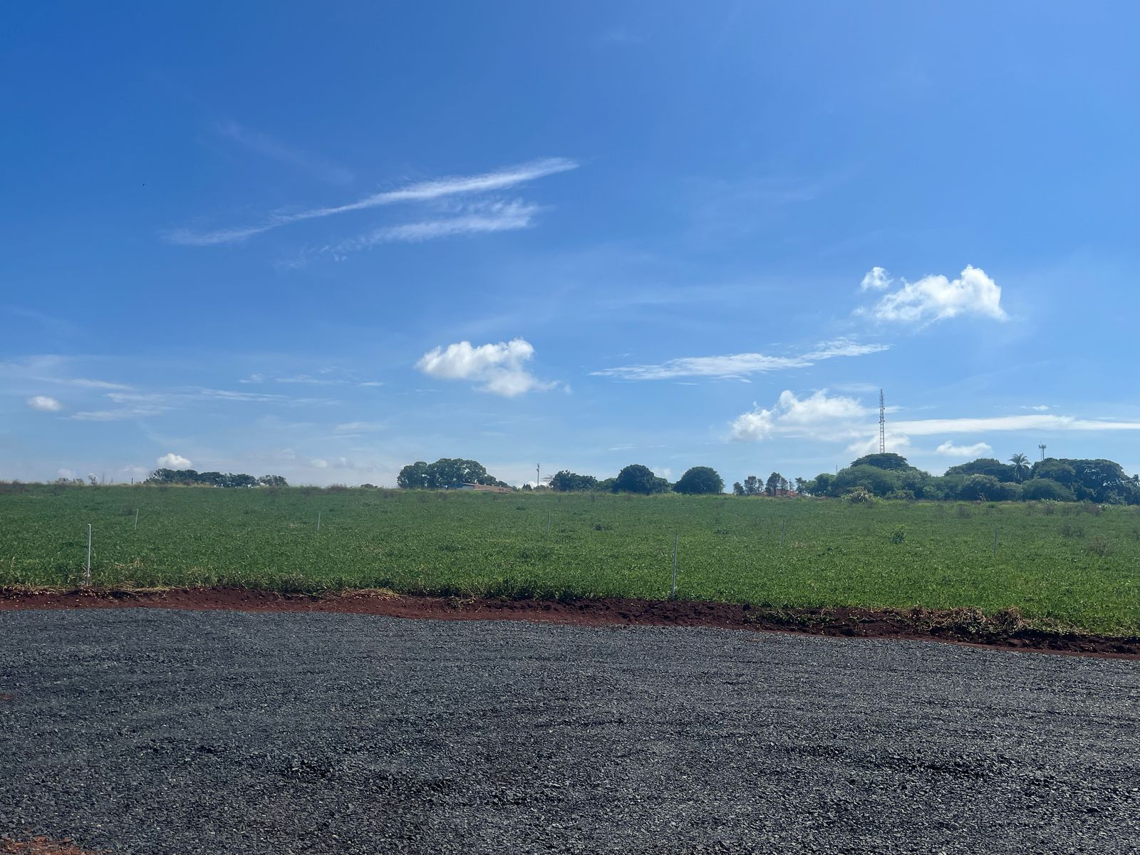 Imagem Terreno à Venda, 250 m² em Monte Carmelo - Cravinhos