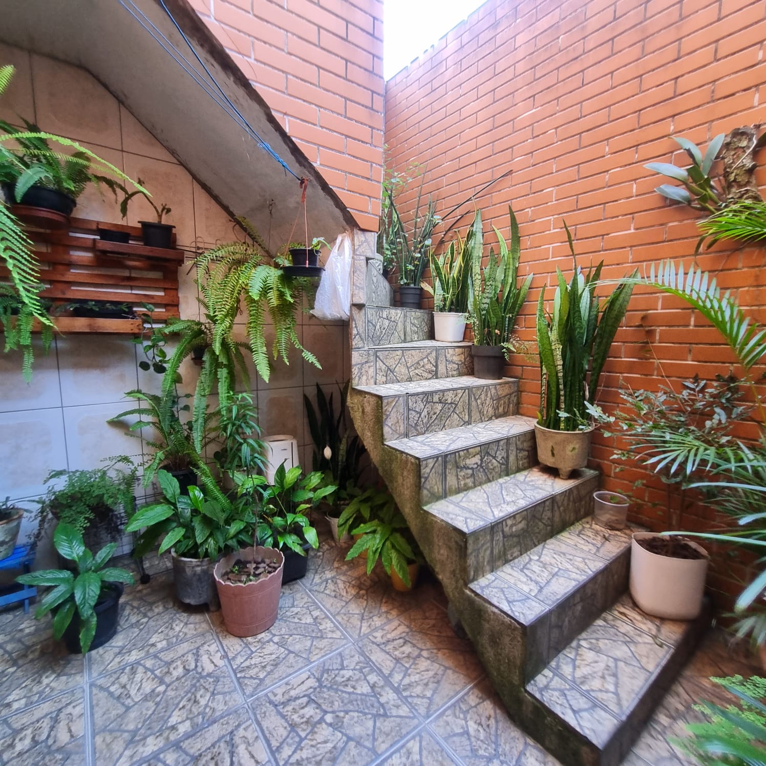 Imagem Sobrado com 2 Quartos à Venda, 92 m²em Assunção - São Bernardo do Campo