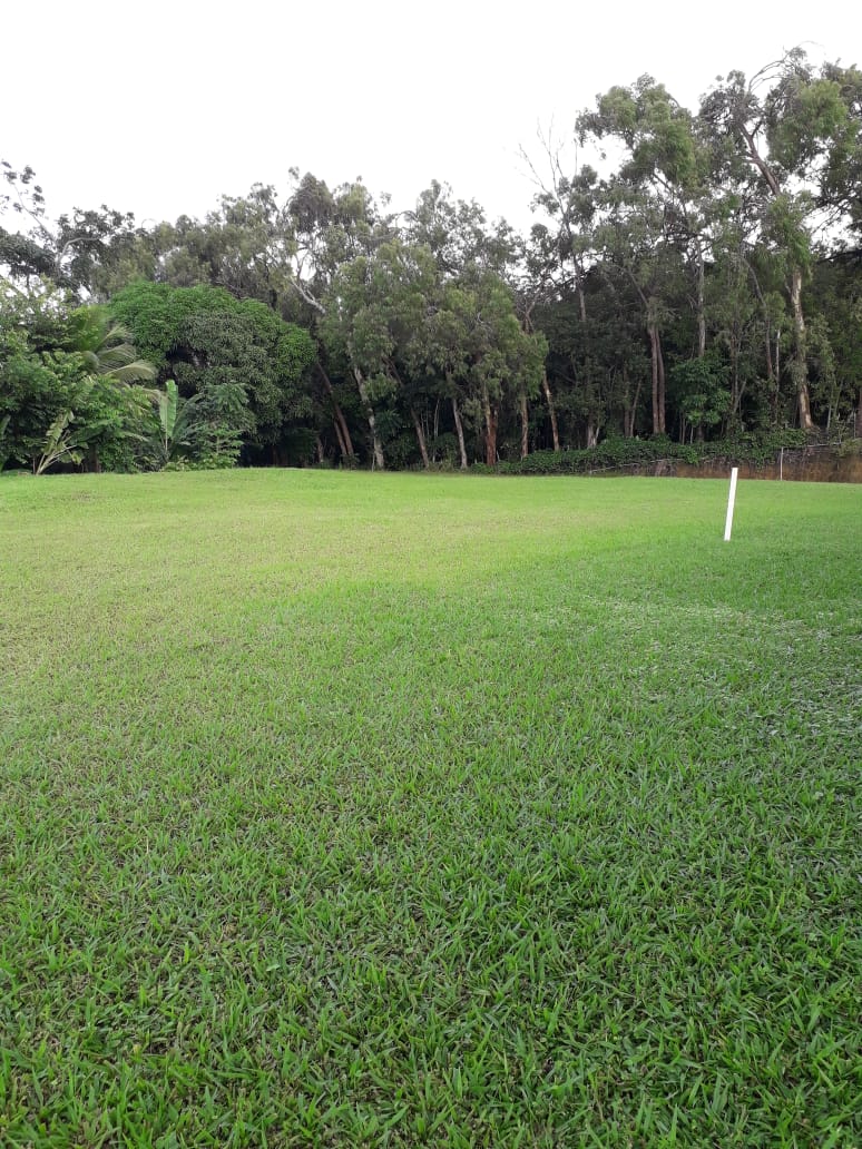 Imagem Casa com 4 Quartos à Venda, 42.400 m² em Fragoso - Olinda