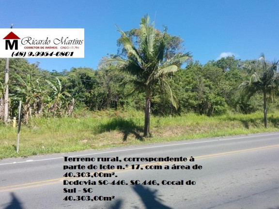 Terreno à Venda, 40.303 m² em Jardim das Palmeiras - Cocal do Sul