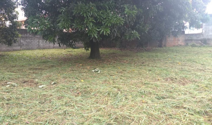 Imagem Terreno à Venda, 1.548 m² em Jardim Cocaia - Guarulhos