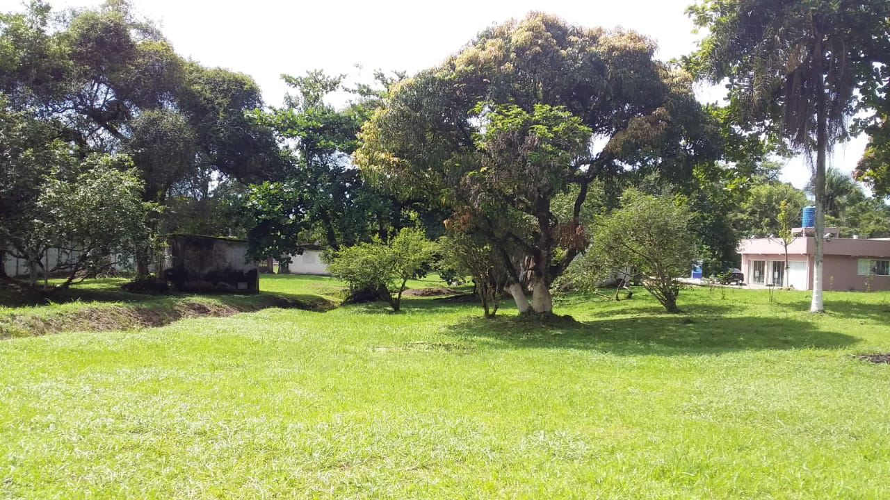 Imagem Chácara com 3 Quartos à Venda, 498 m²em Balneário Flórida Mirim - Mongaguá
